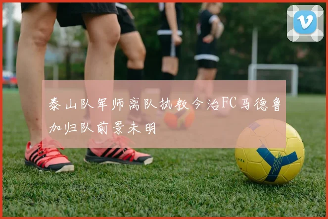 泰山队军师离队执教今治FC马德鲁加归队前景未明